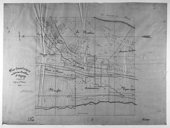 Plan géométrique des galeries et parcellaire d'Ougney. Territoires de Ougney et Vitreux. © Région Bourgogne-Franche-Comté, Inventaire du patrimoine