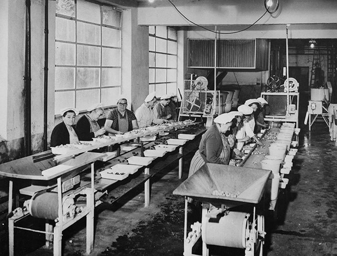 Conserverie : intérieur de l'atelier de fabrication (C) vers 1964. © Région Bourgogne-Franche-Comté, Inventaire du patrimoine Conserverie : intérieur de l'atelier de fabrication (C) vers 1964. © Région Bourgogne-Franche-Comté, Inventaire du patrimoine