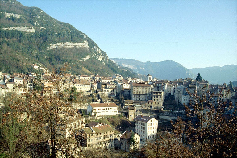 Vue d'ensemble du site dans la ville. © Région Bourgogne-Franche-Comté, Inventaire du patrimoine