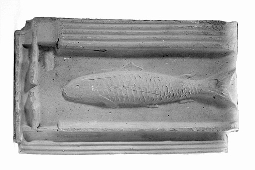 Vue de dessus d'une tuile dite « à la truite ». © Région Bourgogne-Franche-Comté, Inventaire du patrimoine