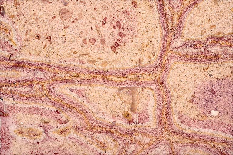 Echantillon de marbre de Sampans. © Région Bourgogne-Franche-Comté, Inventaire du patrimoine