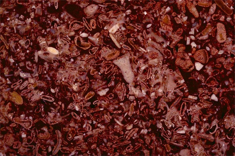 Echantillon de marbre dit Grand rouge du Chanelet. © Région Bourgogne-Franche-Comté, Inventaire du patrimoine