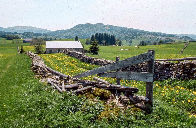 Vue éloignée d'une ferme et du chemin menant des bêtes à la pâture. © Région Bourgogne-Franche-Comté, Inventaire du patrimoine Vue éloignée d'une ferme et du chemin menant des bêtes à la pâture. © Région Bourgogne-Franche-Comté, Inventaire du patrimoine