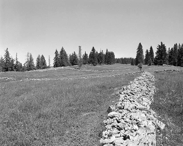 Murets séparant les pâtures aux Petits Plats. © Région Bourgogne-Franche-Comté, Inventaire du patrimoine
