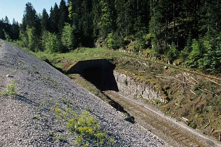 Vue plongeante sur la tête côté Andelot-en-Montagne (nord-ouest). © Région Bourgogne-Franche-Comté, Inventaire du patrimoine