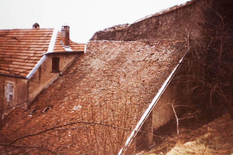 Ancien corps de bâtiment en appentis accolé au mur d'enceinte, 27 Grande Rue. © Région Bourgogne-Franche-Comté, Inventaire du patrimoine