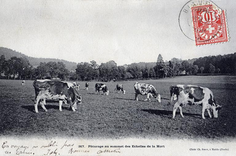 317. Pâturage au sommet des Echelles de la Mort, limite 19e siècle 20e siècle. © Région Bourgogne-Franche-Comté, Inventaire du patrimoine 317. Pâturage au sommet des Echelles de la Mort, limite 19e siècle 20e siècle. © Région Bourgogne-Franche-Comté, Inventaire du patrimoine