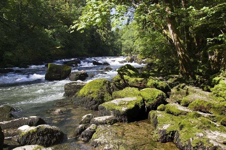 Le Saut du Doubs (communes de Villers-le-Lac, France, et des Brenets, Suisse) : zone de rapides en amont. © Région Bourgogne-Franche-Comté, Inventaire du patrimoine Le Saut du Doubs (communes de Villers-le-Lac, France, et des Brenets, Suisse) : zone de rapides en amont. © Région Bourgogne-Franche-Comté, Inventaire du patrimoine