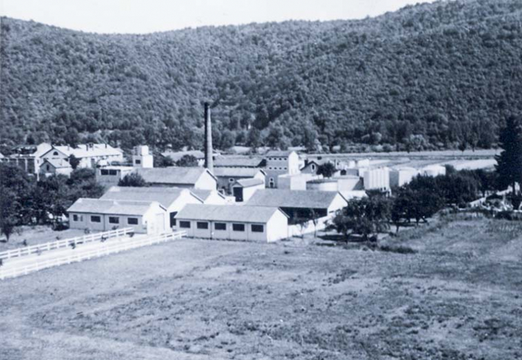 Vue plongeante sur l'usine depuis le nord-ouest, photogr., s.d. [milieu 20e siècle]. © Région Bourgogne-Franche-Comté, Inventaire du patrimoine