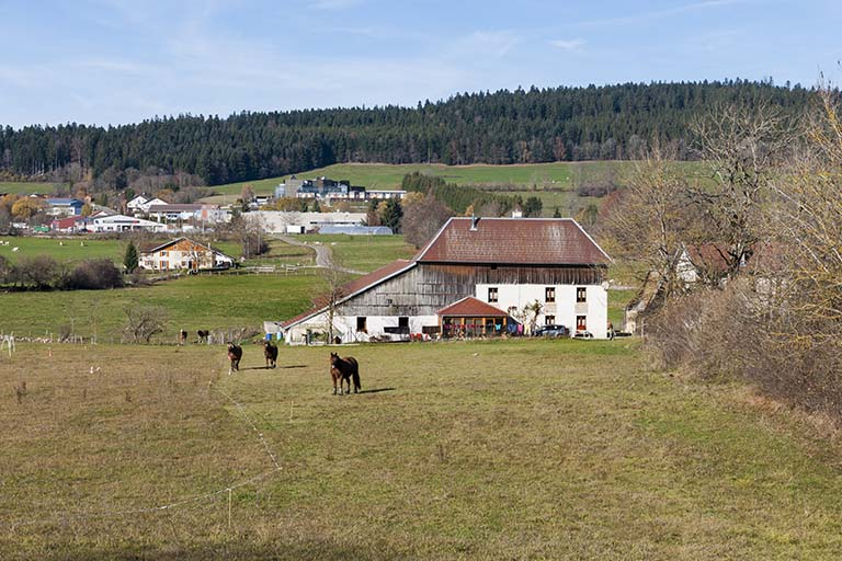 Vue d'ensemble du site, depuis le sud-est. © Région Bourgogne-Franche-Comté, Inventaire du patrimoine