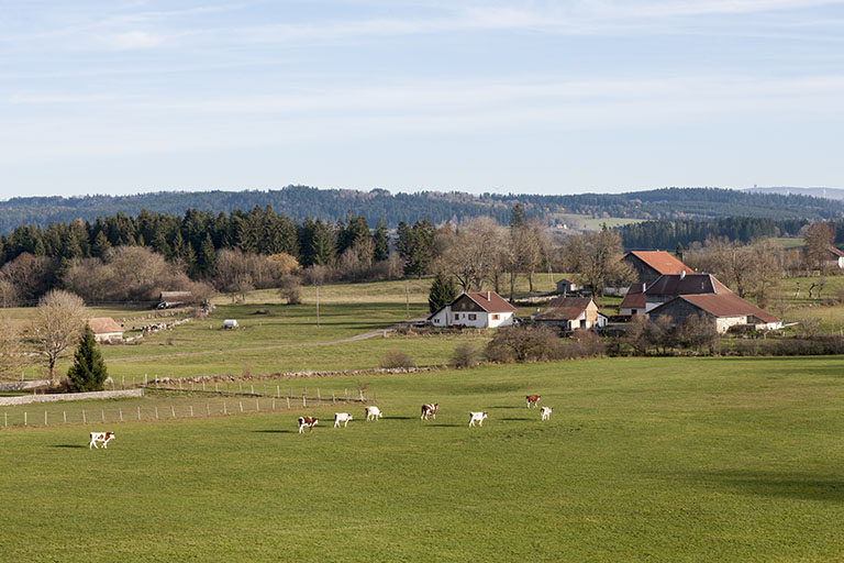 La campagne maîchoise au Grand Vau. © Région Bourgogne-Franche-Comté, Inventaire du patrimoine