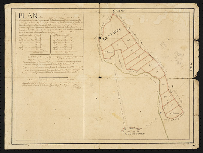 Plan d'abornement de coupes de bois. 1783   © Région Bourgogne-Franche-Comté, Inventaire du patrimoine