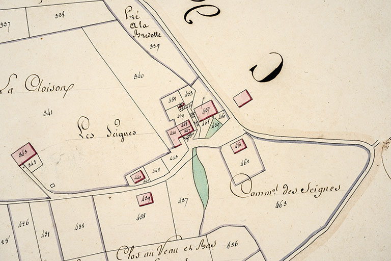 Cadastre de la commune des Gras. Atlas parcellaire, 1816, section D 2e feuille [détail : les Seignes], 1/2 500. © Région Bourgogne-Franche-Comté, Inventaire du patrimoine