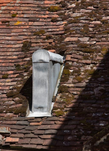 Elément en zinc sur le toit de la construction basse de l'angle nord-ouest de la cour. © Région Bourgogne-Franche-Comté, Inventaire du patrimoine