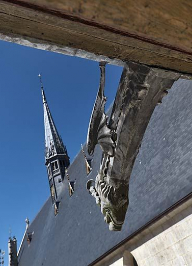 Gargouille. © Région Bourgogne-Franche-Comté, Inventaire du patrimoine