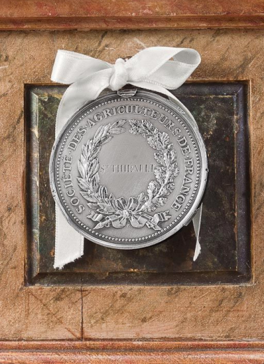 Médaille fixée au socle : avers. © Région Bourgogne-Franche-Comté, Inventaire du patrimoine