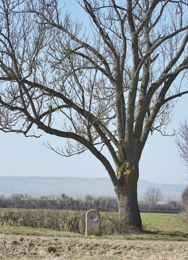 Borne indiquant la distance parcourue depuis Laroche : Y K 140. Vue de face dans son environnement. © Région Bourgogne-Franche-Comté, Inventaire du patrimoine