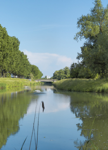 Le départ de l'embranchement de Crissey avec au centre le pont. © Région Bourgogne-Franche-Comté, Inventaire du patrimoine