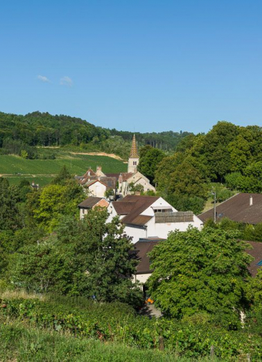 Vue générale de l'église et du village de Pernand-Vergelesses. © Région Bourgogne-Franche-Comté, Inventaire du patrimoine