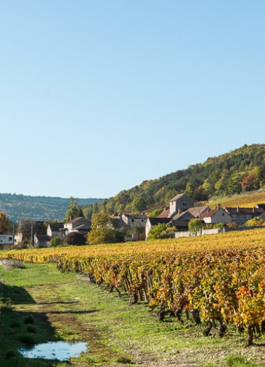 église paroissiale © Région Bourgogne-Franche-Comté, Inventaire du patrimoine