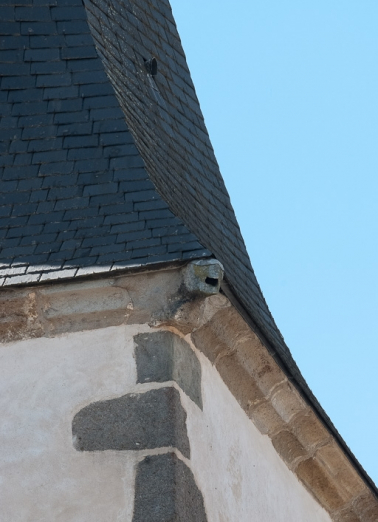 Détail d'une gargouille du clocher. © Région Bourgogne-Franche-Comté, Inventaire du patrimoine