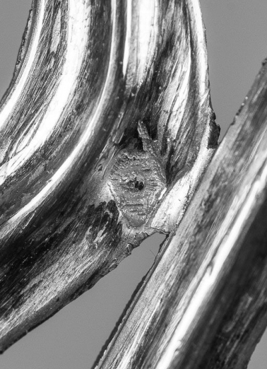 Ostensoir : détail de poinçon. © Région Bourgogne-Franche-Comté, Inventaire du patrimoine