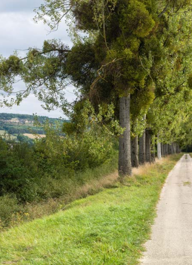 Vue des carrières depuis le chemin de halage. © Région Bourgogne-Franche-Comté, Inventaire du patrimoine