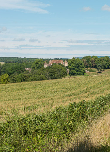Vue du site. © Région Bourgogne-Franche-Comté, Inventaire du patrimoine