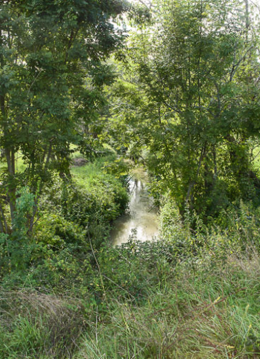 Vue du site. © Région Bourgogne-Franche-Comté, Inventaire du patrimoine