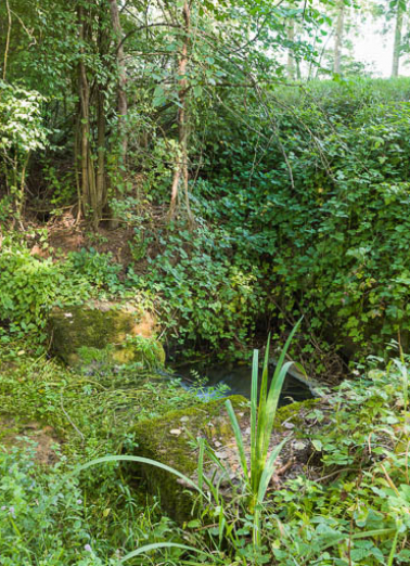 Vue de l'aqueduc dans la végétation. © Région Bourgogne-Franche-Comté, Inventaire du patrimoine