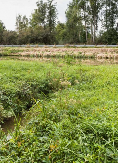 Vue du site. © Région Bourgogne-Franche-Comté, Inventaire du patrimoine