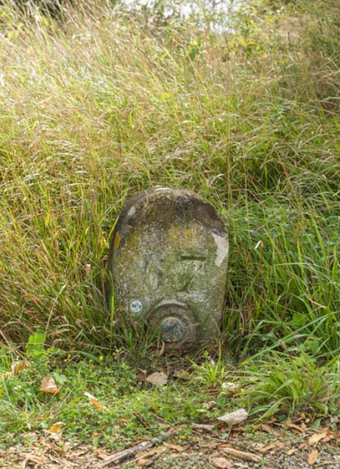Vue d'ensemble de la borne. © Région Bourgogne-Franche-Comté, Inventaire du patrimoine