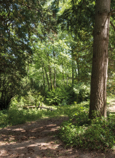 bosquet © Région Bourgogne-Franche-Comté, Inventaire du patrimoine