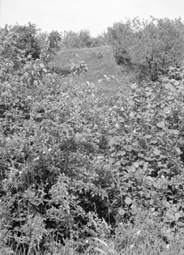 Détail du site. © Région Bourgogne-Franche-Comté, Inventaire du patrimoine