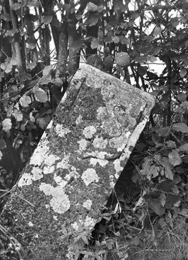 Vue générale. © Région Bourgogne-Franche-Comté, Inventaire du patrimoine