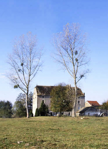 Vue d'ensemble depuis le sud en 1988. © Région Bourgogne-Franche-Comté, Inventaire du patrimoine Vue d'ensemble depuis le sud en 1988. © Région Bourgogne-Franche-Comté, Inventaire du patrimoine