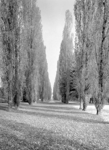 Parc et allée menant du restaurant d'entreprise aux Grands Bureaux. © Région Bourgogne-Franche-Comté, Inventaire du patrimoine Parc et allée menant du restaurant d'entreprise aux Grands Bureaux. © Région Bourgogne-Franche-Comté, Inventaire du patrimoine