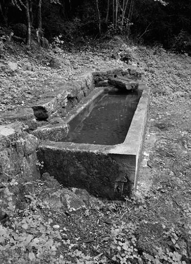 Le bassin, de profil. © Région Bourgogne-Franche-Comté, Inventaire du patrimoine