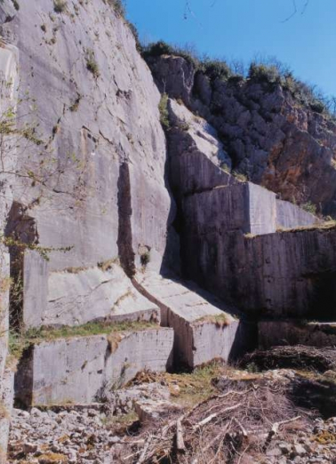Carrière, partie nord : front de taille depuis l'intérieur de la fosse. © Région Bourgogne-Franche-Comté, Inventaire du patrimoine