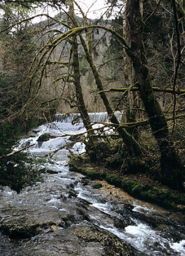 Pont sur le Lizon : le ruisseau, en amont. © Région Bourgogne-Franche-Comté, Inventaire du patrimoine