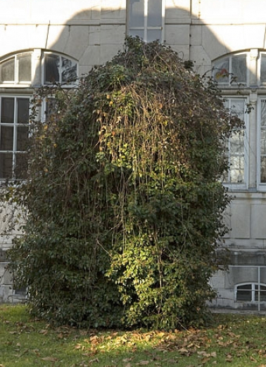 Mire sud de la lunette méridienne : pilier nord (collimateur). © Région Bourgogne-Franche-Comté, Inventaire du patrimoine Mire sud de la lunette méridienne : pilier nord (collimateur). © Région Bourgogne-Franche-Comté, Inventaire du patrimoine