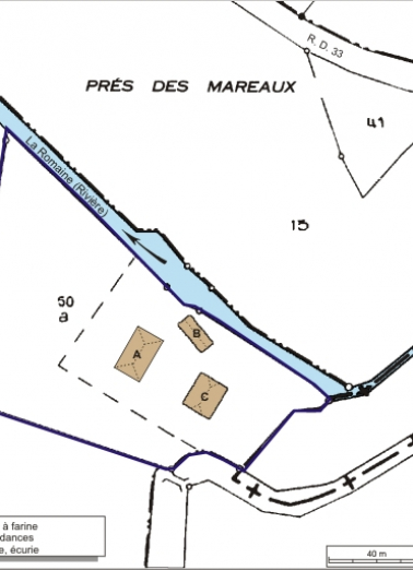 Plan-masse et de situation. Extrait du plan cadastral numérisé, 2008, section ZL, 1:2000 agrandi à 1:1250. Source : Direction générale des Finances Publiques - Cadastre ; mise à jour : 2008. © Région Bourgogne-Franche-Comté, Inventaire du patrimoine