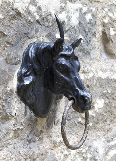 Cour : détail d'un anneau d'attache décoré d'une tête de cheval. © Région Bourgogne-Franche-Comté, Inventaire du Patrimoine