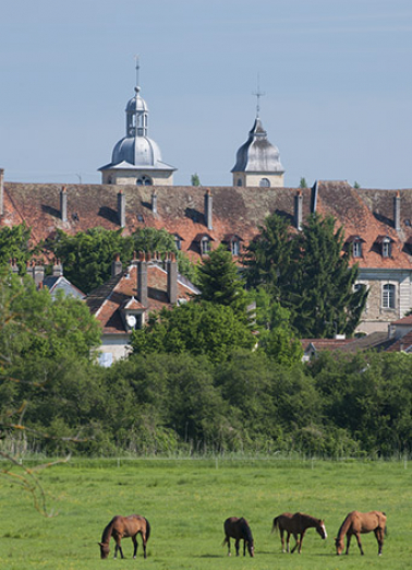 Vue partielle rapprochée depuis le sud. © Région Bourgogne-Franche-Comté, Inventaire du patrimoine