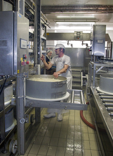 Fabrication du comté : mise sous presse du moule rempli de caillé. © Région Bourgogne-Franche-Comté, Inventaire du patrimoine