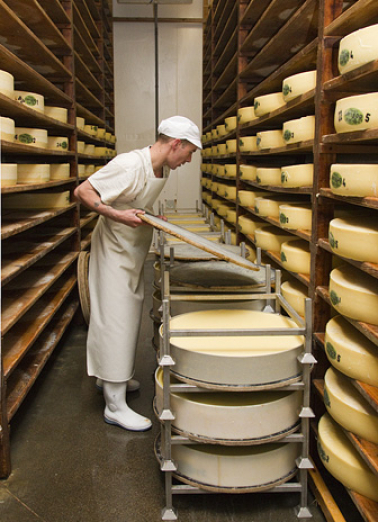 Fabrication du comté : mise en place des meules en cave d'affinage (enlèvement des foncets). © Région Bourgogne-Franche-Comté, Inventaire du patrimoine
