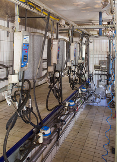 Salle de traite de l'étable ouest. © Région Bourgogne-Franche-Comté, Inventaire du patrimoine