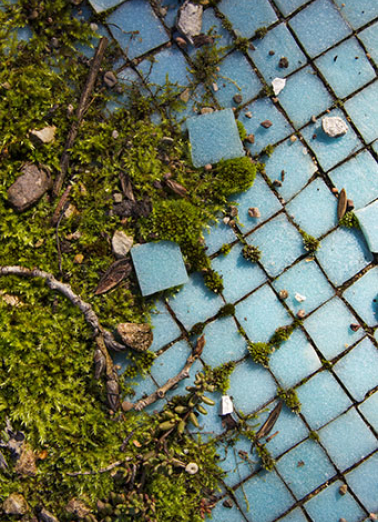 Piscine : détail de la mosaïque. © Région Bourgogne-Franche-Comté, Inventaire du patrimoine Piscine : détail de la mosaïque. © Région Bourgogne-Franche-Comté, Inventaire du patrimoine