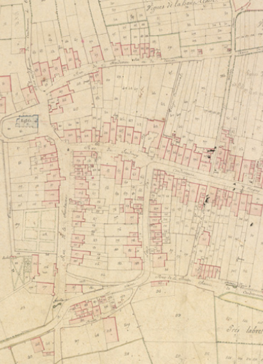 Extrait du cadastre napoléonien terminé le 25 septembre 1819. Section D dite du village. © Archives départementales de la Haute-Saône Extrait du cadastre napoléonien terminé le 25 septembre 1819. Section D dite du village. © Archives départementales de la Haute-Saône