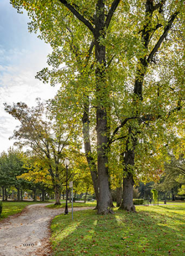 parc © Région Bourgogne-Franche-Comté, Inventaire du patrimoine parc © Région Bourgogne-Franche-Comté, Inventaire du patrimoine